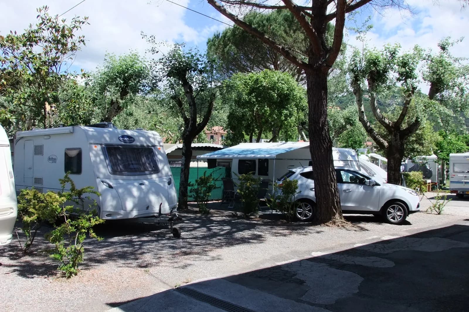 Caravan pitches among the campsite trees