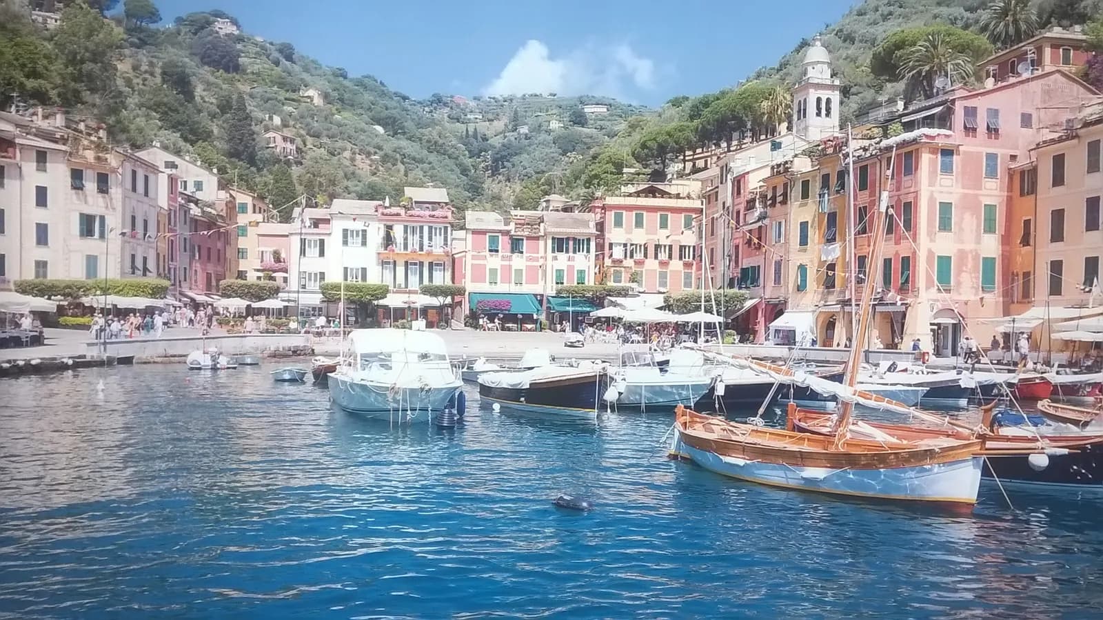 Portofino harbour with boats and colourful houses